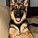 Rex