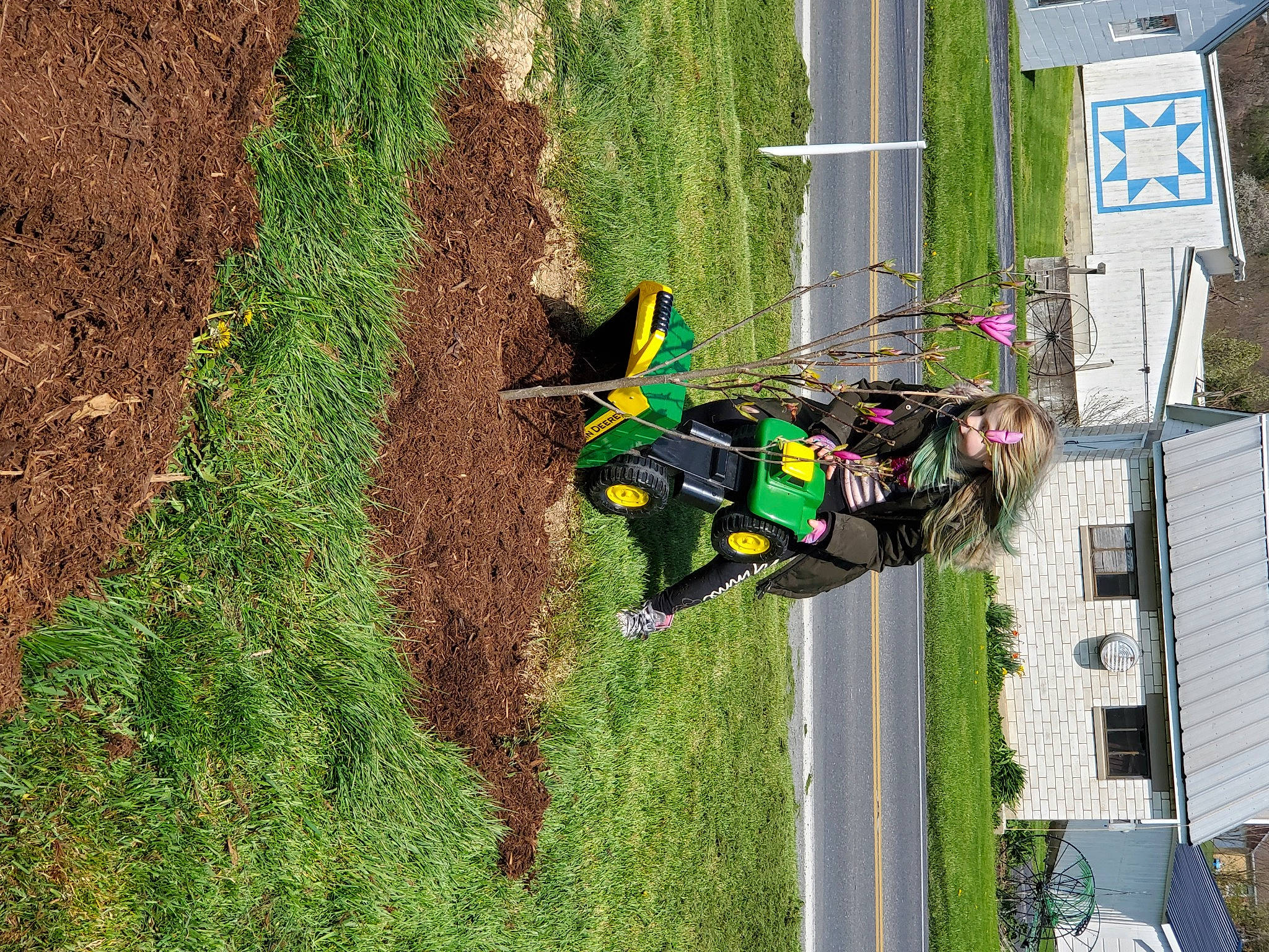 Addy is registered to the contest to win money with this photo: adventure, games, grass, lawn, person, plant, recreation, tree