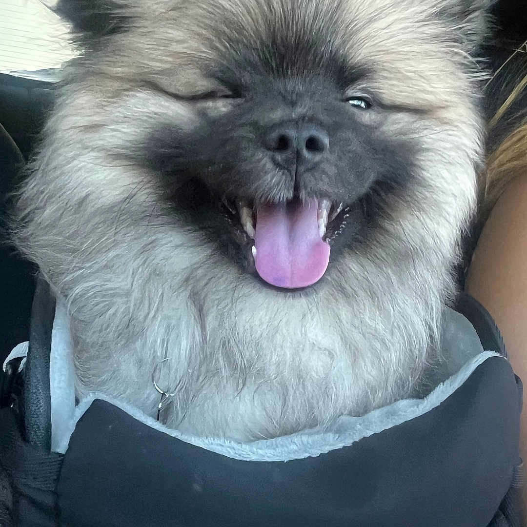 Zuko