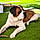 Athos