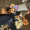 Lily is registered to the contest to win money with this photo: dog, couch, blanket, pillow, foot, jeans, sock, indoor, wood_floor, table, can, globe, picture_frame, person, relaxing, pet, cozy, home, living_room, casual
