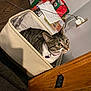 animal, board_game, cat, collar, cord, curious, ears, eyes, fabric_box, floor, gift_bag, household, indoor, paper, pet, room, sitting, tabby_cat, tag, wooden_furniture