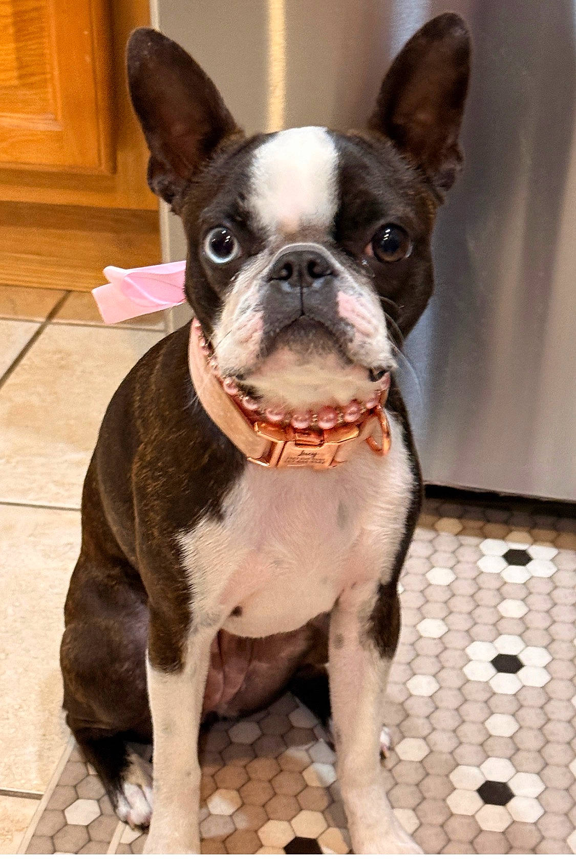 Lucy