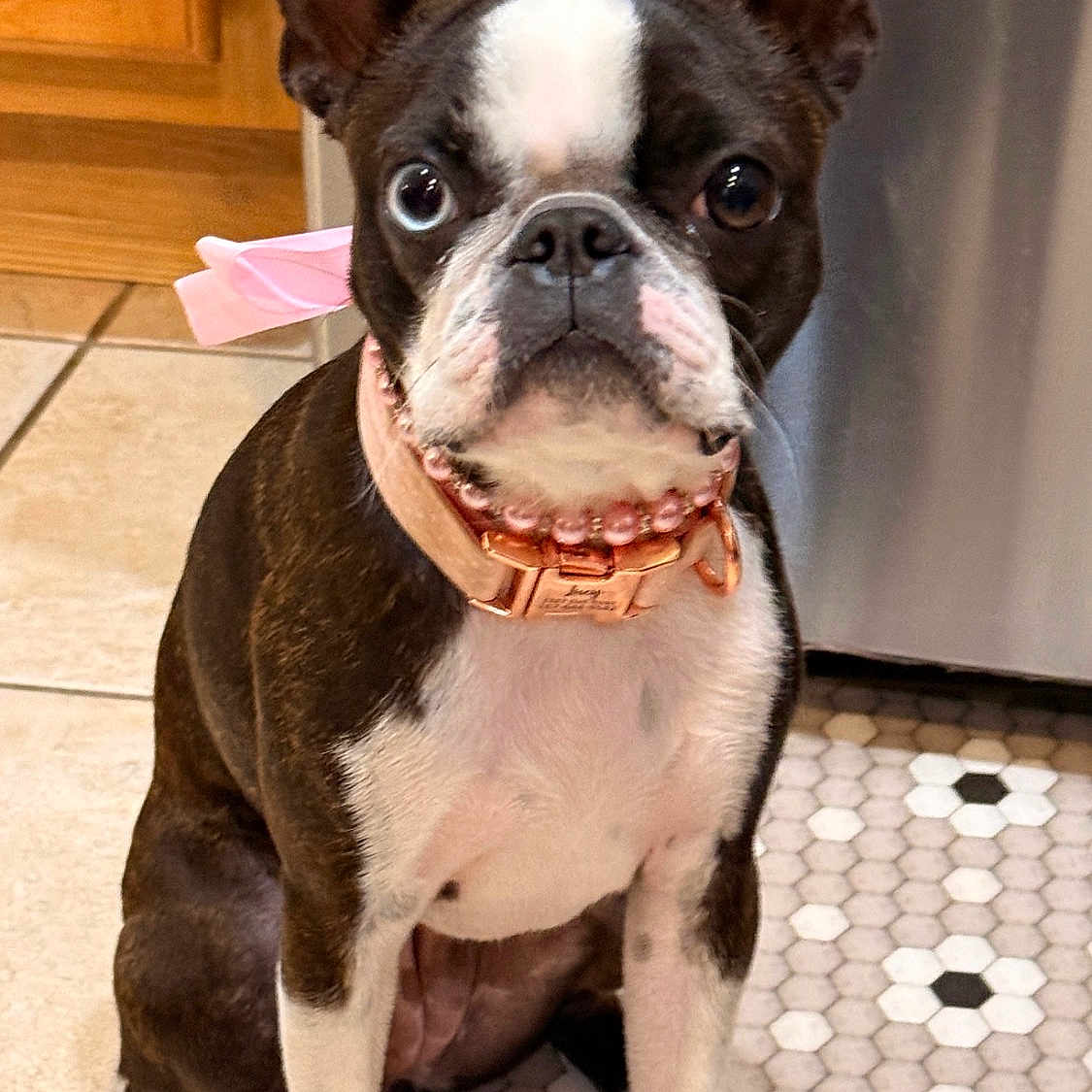 Lucy