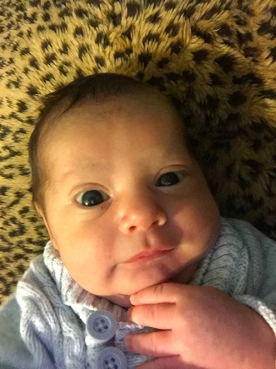 Cristian is registered to the contest to win money with this photo: baby, cheek, child, chin, eye, eyebrow, face, finger, forehead, gesture, head, lip, mouth, nose, person, portrait, portrait_photography, skin, smile, toddler