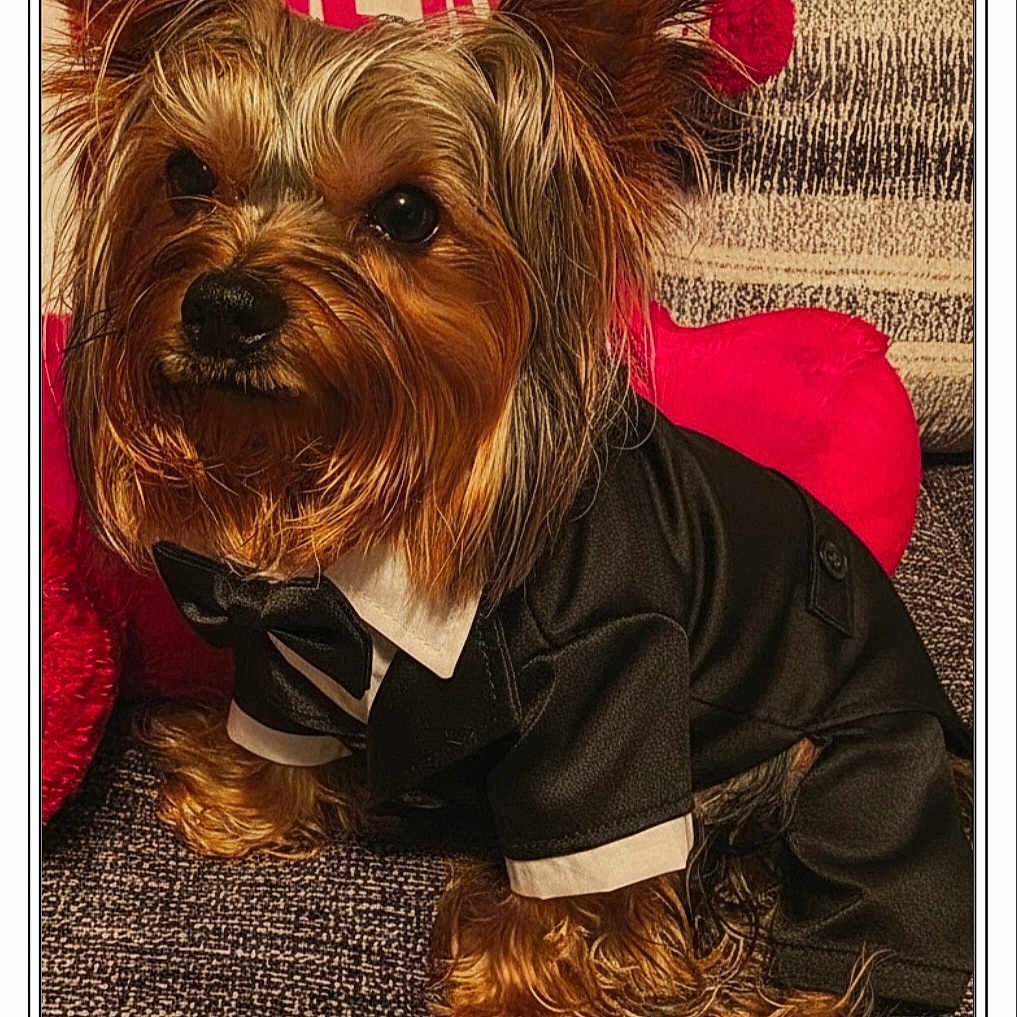 Milo