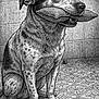 dog, sketch, black_and_white, sitting, pillow, floor, patterned_floor, tile, wall, detailed, crosshatch, artistic, portrait, pet, animal, fur, indoor, texture, still_life, calm