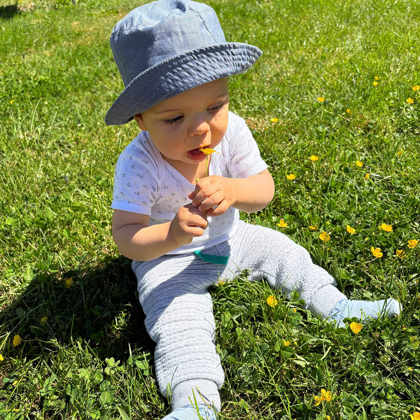 Zahyen a rejoint le concours — aidez-le/la à gagner de superbes lots ! baby, blue_hat, blue_socks, casual_clothing, child, curious, cute, daylight, flower, grass, gray_pants, greenery, infant, nature, outdoor, sitting, summer, sunlight, white_shirt, yellow_flower