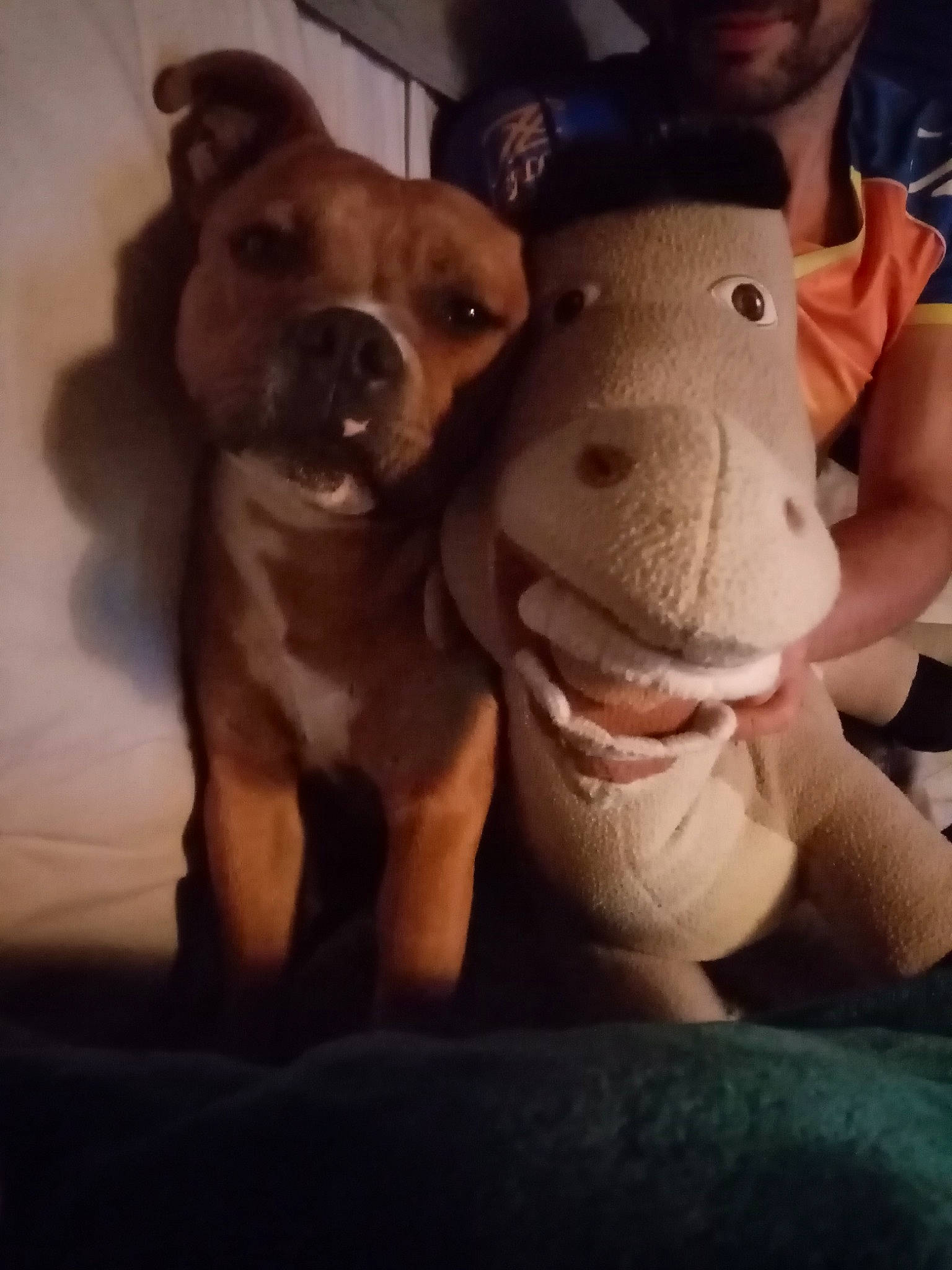 Popsy a rejoint le concours — aidez-le/la à gagner de superbes lots ! canidae, carnivore, chihuahua, cloud, companion_dog, dog, dog_breed, dog_clothes, fawn, fur, happy, plush, selfie, smile, snout, stuffed_toy, toy, toy_dog, whiskers, working_animal