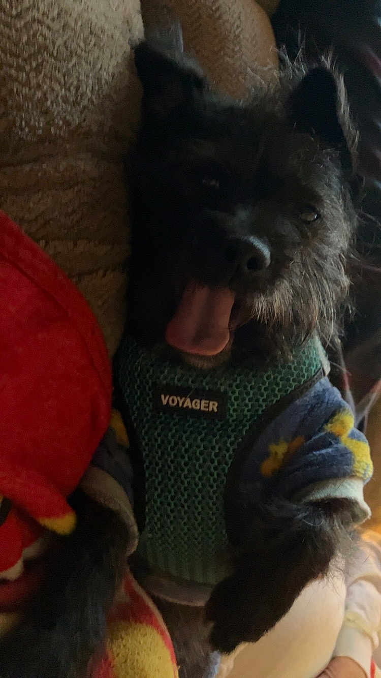 Charlie