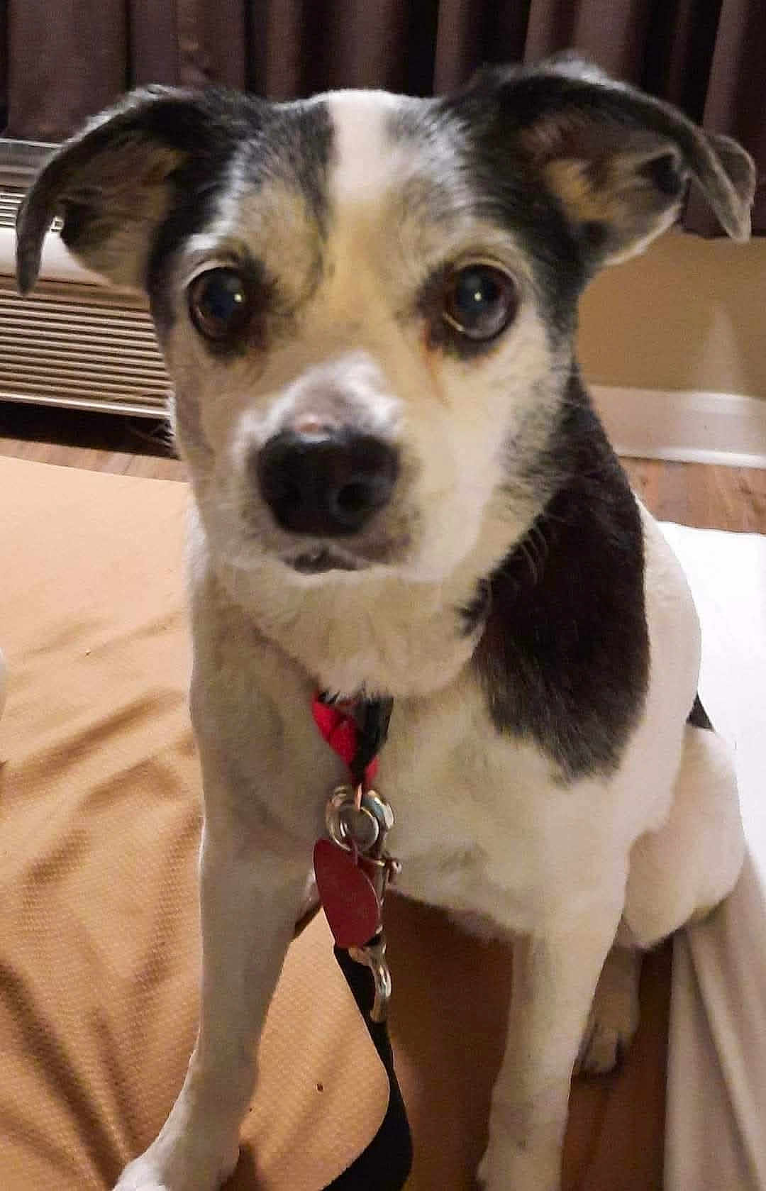 Yama