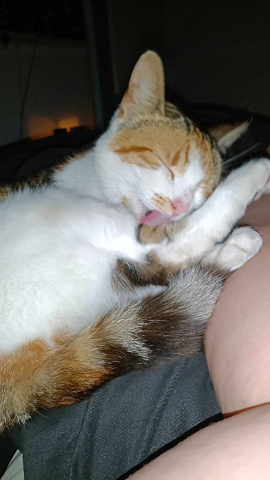 Molly