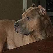 Diezel joined the competition — help win amazing prizes!