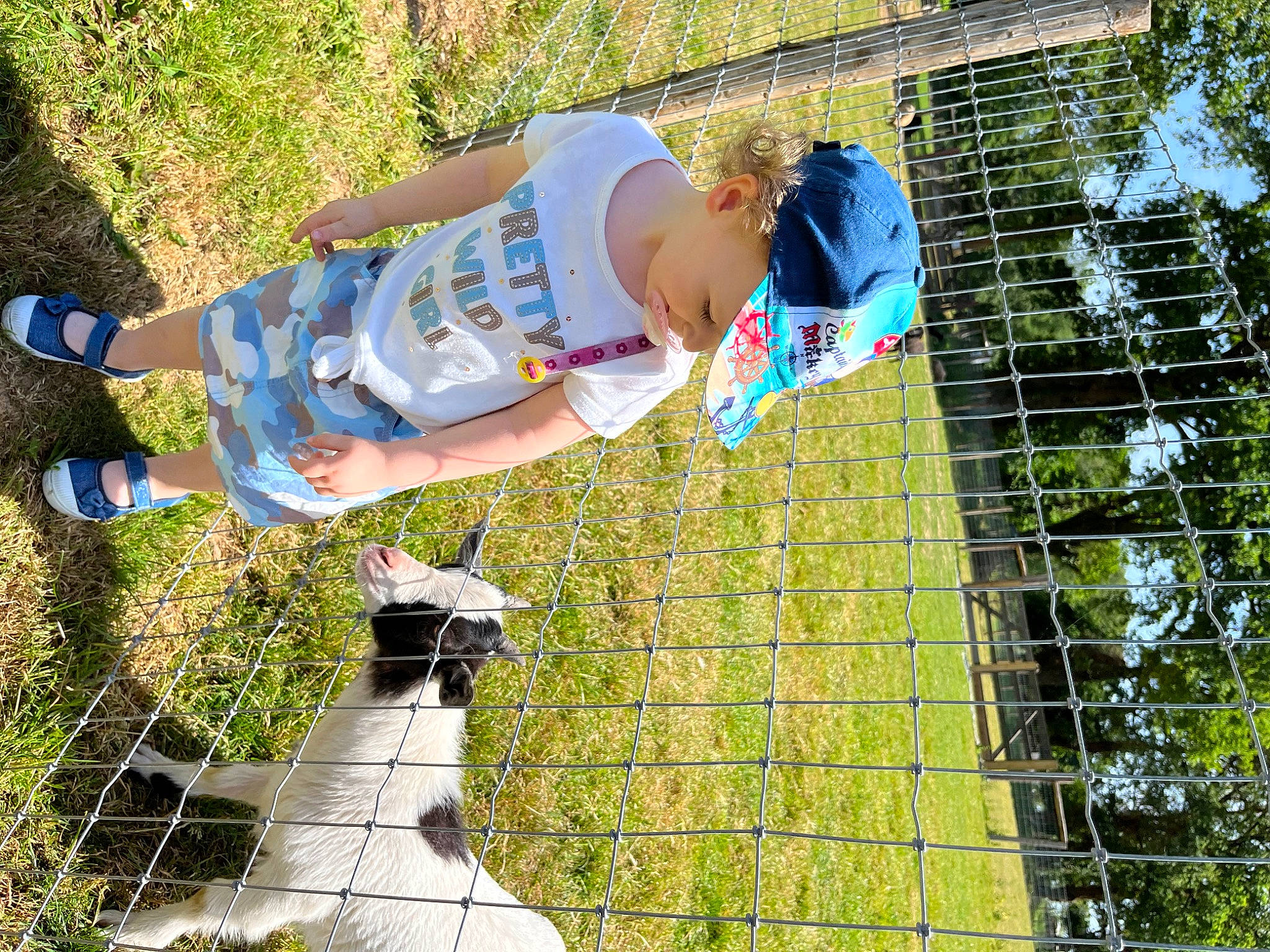 Alyssa participe au concours pour gagner de l'argent avec cette photo : carnivore, companion_dog, dog_breed, fun, grass, happy, lawn, leisure, mesh, net, people_in_nature, person, plant, recreation, shorts, spring, t_shirt, tail, toddler, tree