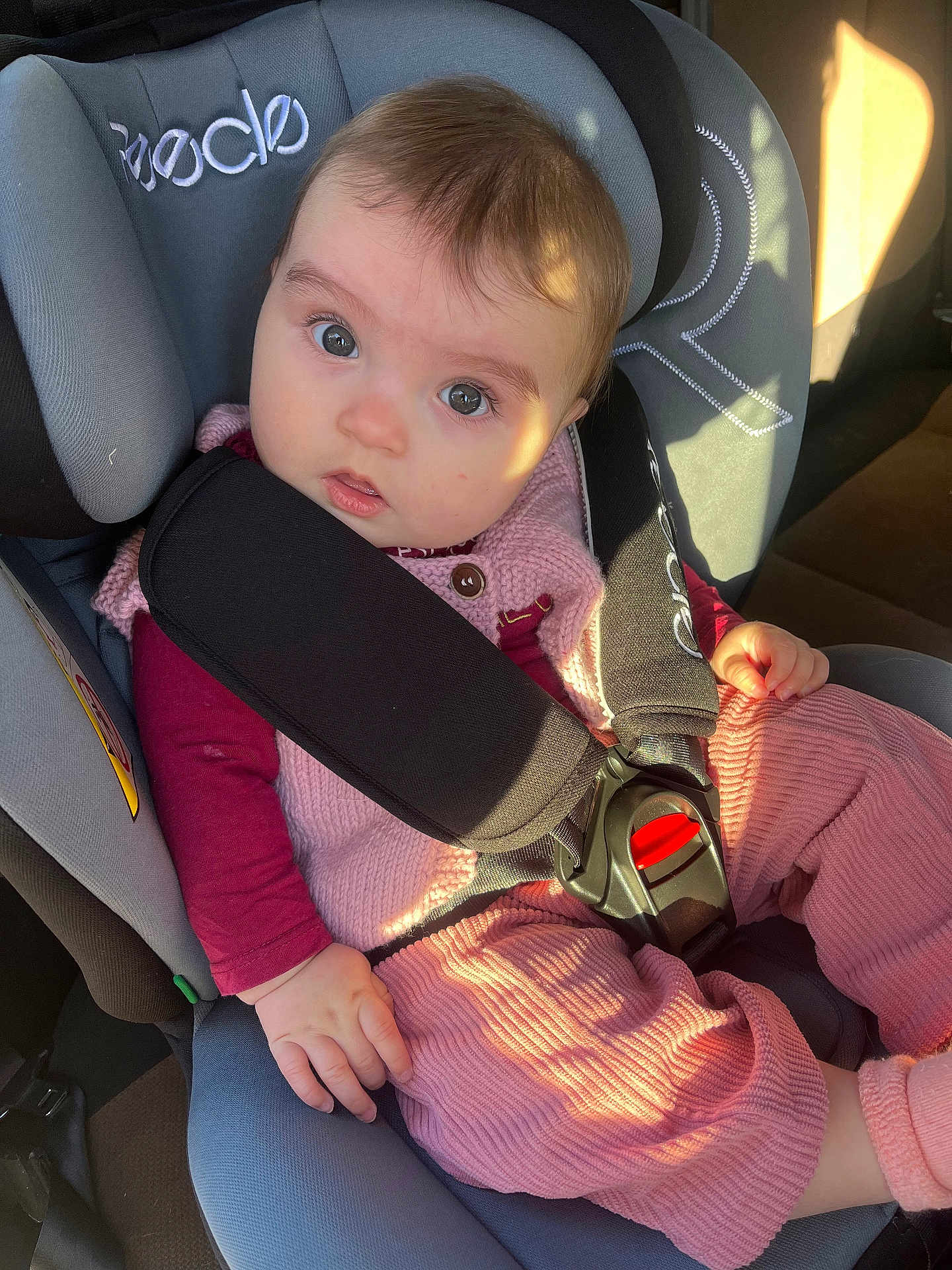 Jade a rejoint le concours — aidez-le/la à gagner de superbes lots ! baby, infant, child, car_seat, seatbelt, buckle, pink_clothes, sweater, hand, eyes, portrait, car_interior, sunlight, cheeks, cute, gaze, seat_padding, safety, head, looking_up