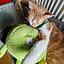 cat, ginger_cat, white_fur, sleeping, snuggling, plush_toy, green_toy, stuffed_animal, cozy, indoor, pet, feline, cute, closeup, relaxed, fur, animal, resting, soft, home