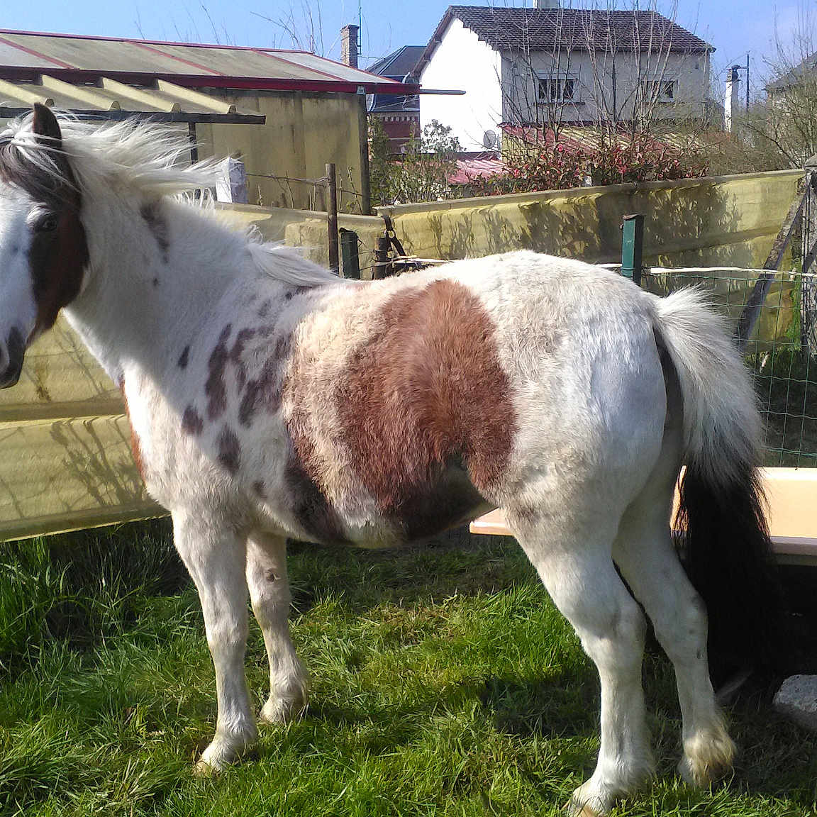 Déesse Des Trois Vallées