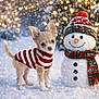 animal, christmas, cute, decoration, dog, festive, hat, holiday, outdoor, puppy, scarf, seasonal, small_dog, snow, snowfall, snowman, sweater, twinkling_lights, winter, winter_clothing