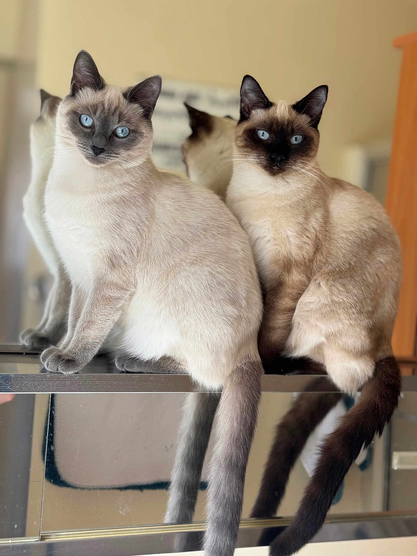 Okeley And Aspen