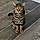 Milow