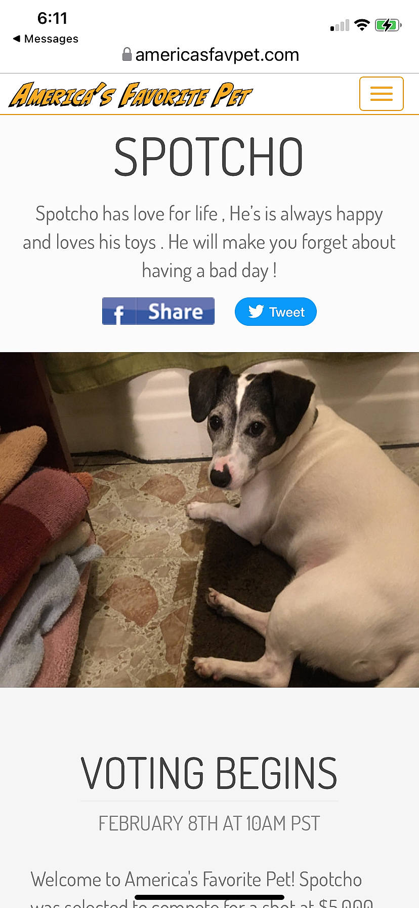 Spotcho is registered to the contest to win money with this photo: advertising, brand, canidae, carnivore, collar, companion_dog, dog, dog_breed, font, internet_meme, non_sporting_group, paw, pet_supply, photo_caption, screenshot, snout, sporting_group, working_animal