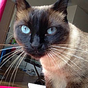 Kenzo participe au concours pour gagner de l'argent avec cette photo :