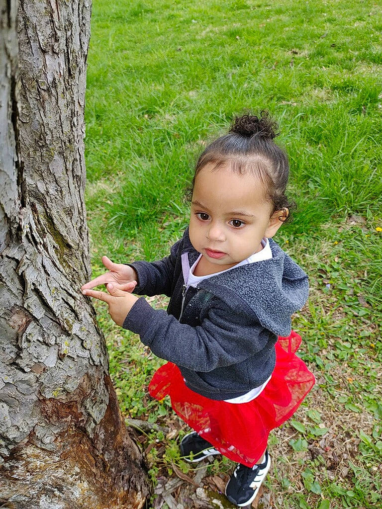 Alaysia joined the competition — help win amazing prizes! adaptation, baby, baby_toddler_clothing, child, forest, fun, grass, grassland, groundcover, happy, leisure, natural_environment, people_in_nature, person, plant, sitting, terrestrial_plant, toddler, tree, trunk