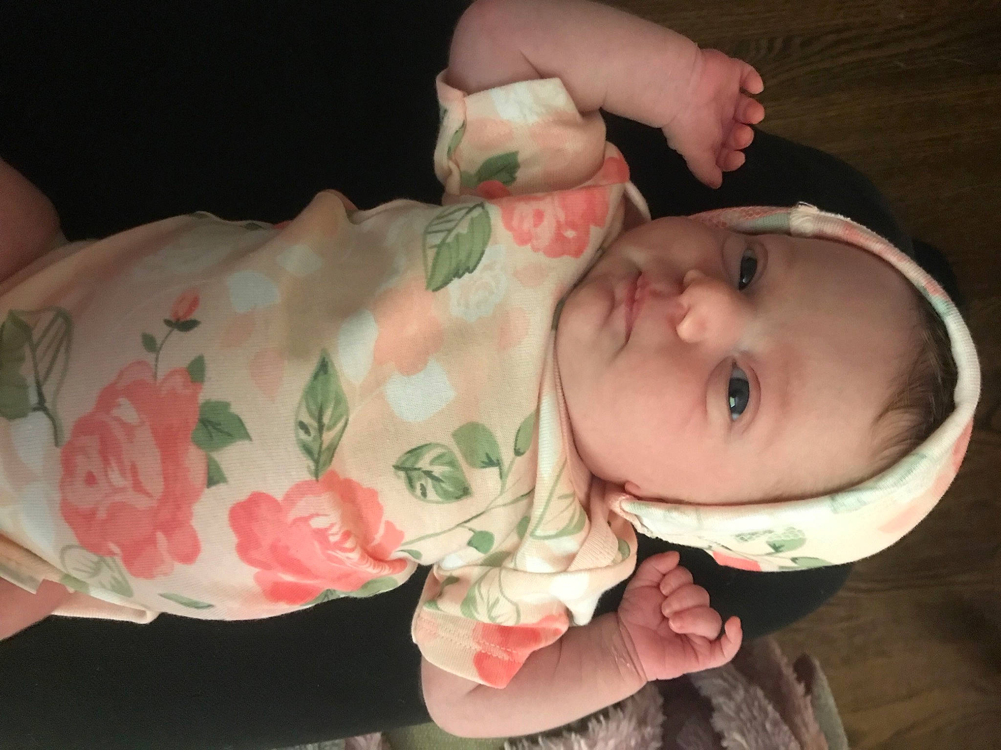 Piper joined the competition — help win amazing prizes! baby, cheek, chin, eye, eyebrow, eyelash, face, facial_expression, forehead, hairstyle, hand, head, human_body, leaf, lip, mouth, neck, nose, person, skin