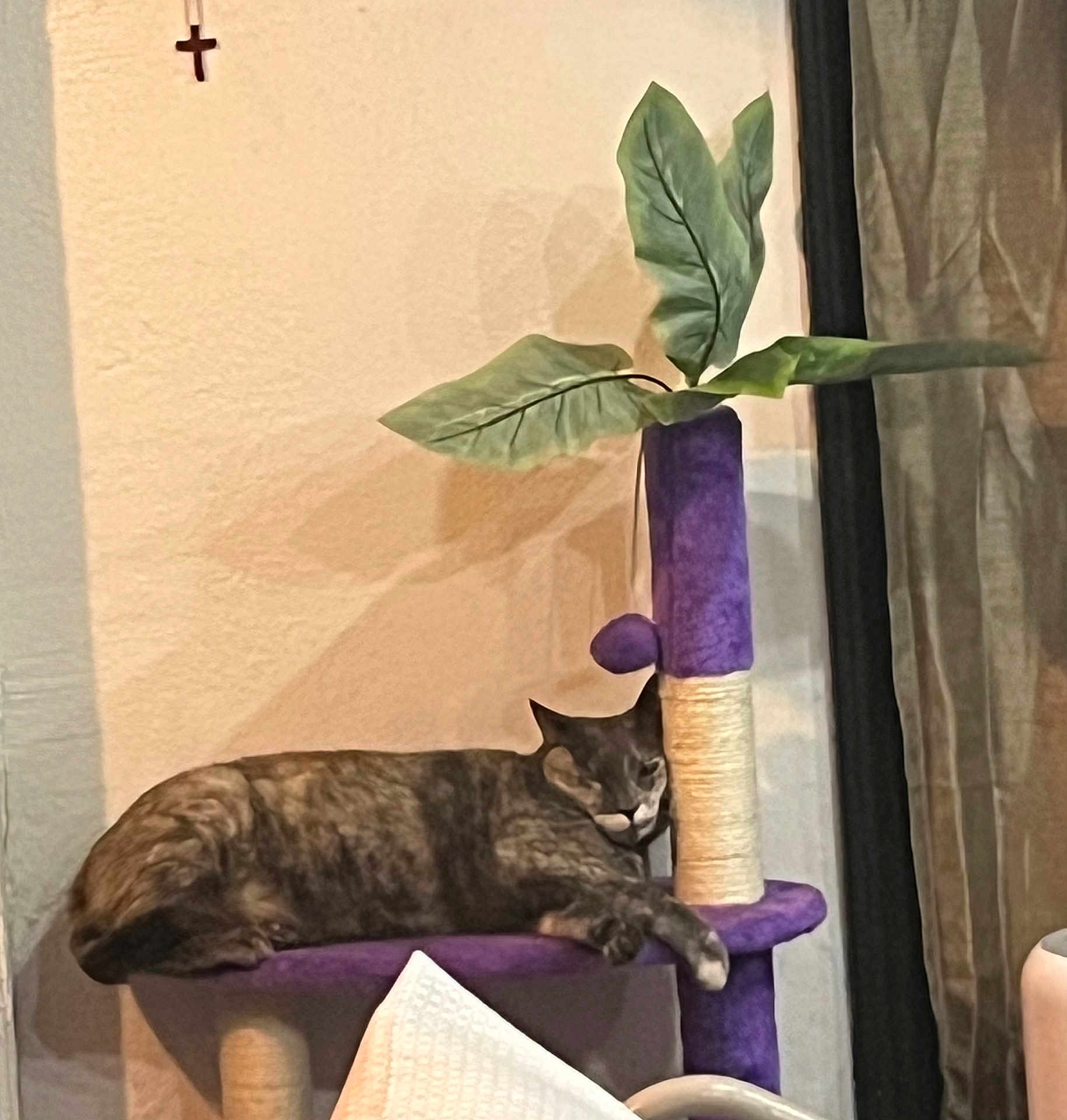 Kiki