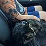 Oliver is registered to the contest to win money with this photo: child, cat, black_cat, car_interior, seatbelt, tshirt, shorts, pet, animal, lap, resting, seat, window, daylight, comfort, travel, fur, hand, casual_clothing, relaxation