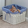 cat, kitten, basket, wicker, blue_checkered, fabric, curious, orange_tabby, indoor, carpet, corner, pet, cute, animal, feline, cozy, home, playful, resting, small