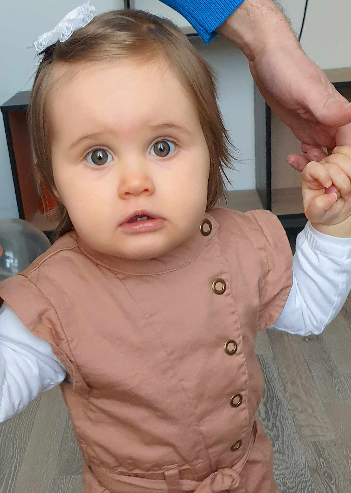 Elyna