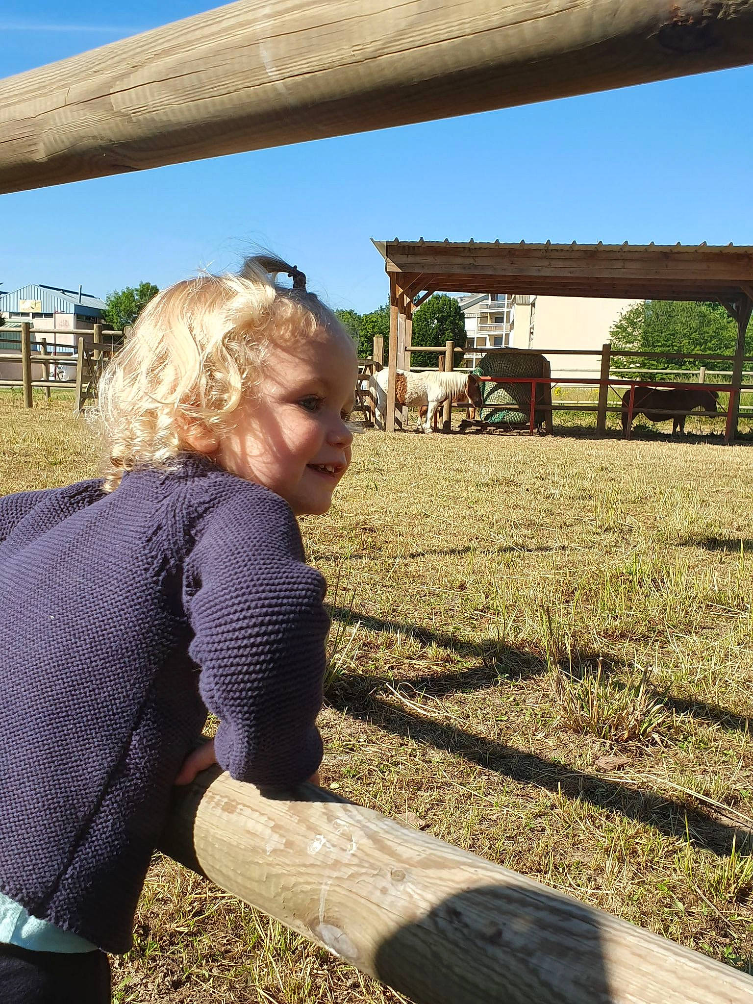 Blandine participe au concours pour gagner de l'argent avec cette photo : blond, farm, grass, grass_family, grassland, hay, jeans, joy, long_hair, pasture, person, photography, plant, ranch, rural_area, sitting, straw, tourism, tree, vacation