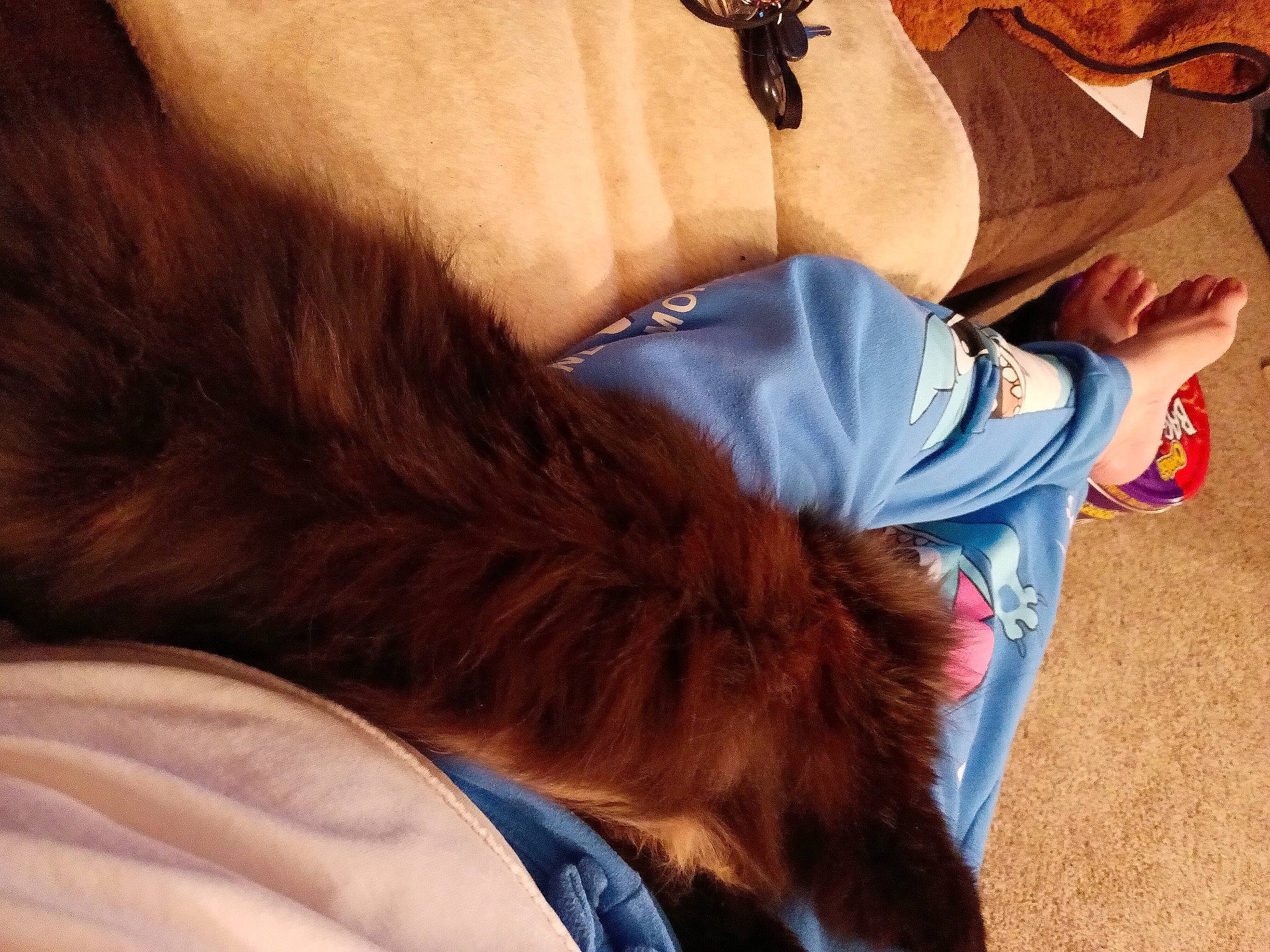 Mama'S is registered to the contest to win money with this photo: carnivore, companion_dog, dog_breed, elbow, fawn, gesture, hand, knee, leg, liver, mammal, neck, sunglasses, tail, thigh, trunk, vertebrate, waist, working_animal, wrist