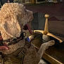 Tactical Bentley joined the competition — help win amazing prizes! animal, armor, castle, curly_fur, dark, dog, hand, harness, historic, keychain, legend, medieval, mystical, night, outdoor, paw, person, service_dog, stone, sword