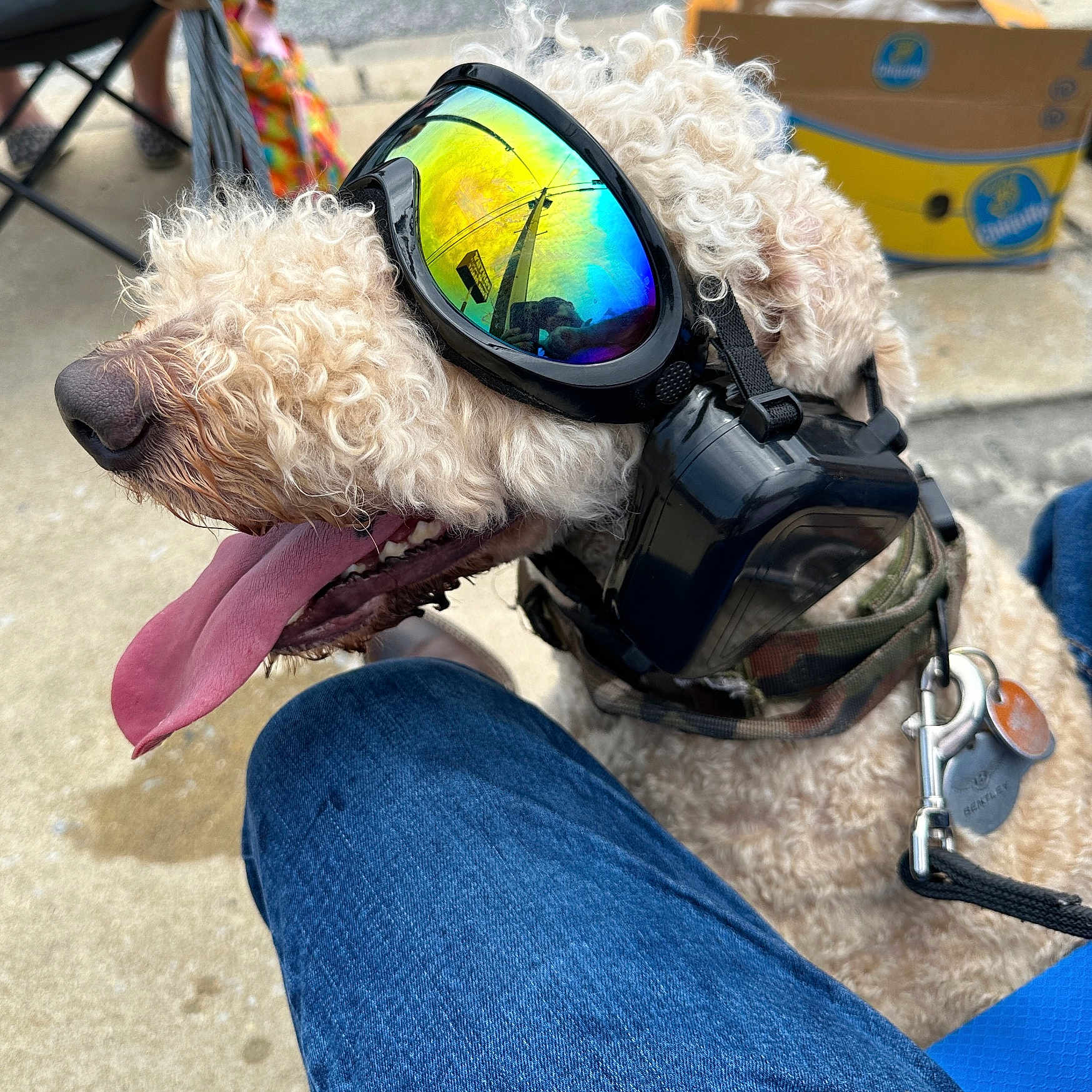 Tactical Bentley