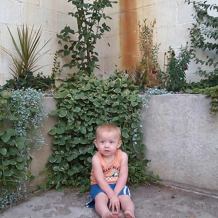 Creed is registered to the contest to win money with this photo: baby, background, barefoot, casual_clothing, child, concrete, curious, daylight, garden, greenery, leaves, nature, outdoor, plant, portrait, sitting, small_plant, toddler, wall, young_child