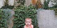 Creed is registered to the contest to win money with this photo: bare_legs, barefoot, brick_wall, casual_clothing, child, concrete_floor, curious_expression, daylight, green_plants, nature, outdoor, plant_leaves, relaxed_pose, sitting, small_child, summer_clothes, sunlight, toddler, urban_garden, young_child