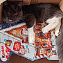 cat, cardboard_box, advent_calendar, kinder, black_and_white, pet, whiskers, curious, indoor, playful, cozy, animal, holiday, christmas, toy, paw, feline, closeup, resting, flap