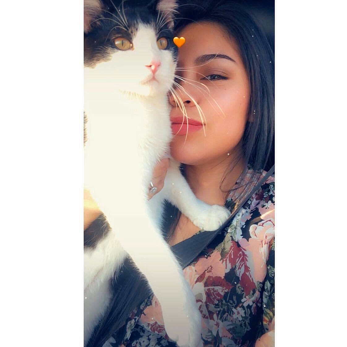 Minimi joined the competition — help win amazing prizes! arm, beauty, black_hair, carnivore, cat, cheek, eye, felidae, fur, gesture, kitten, long_hair, love, nose, photography, selfie, skin, small_to_medium_sized_cats, snapshot, whiskers