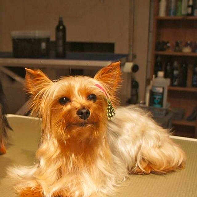 Lily is registered to the contest to win money with this photo: