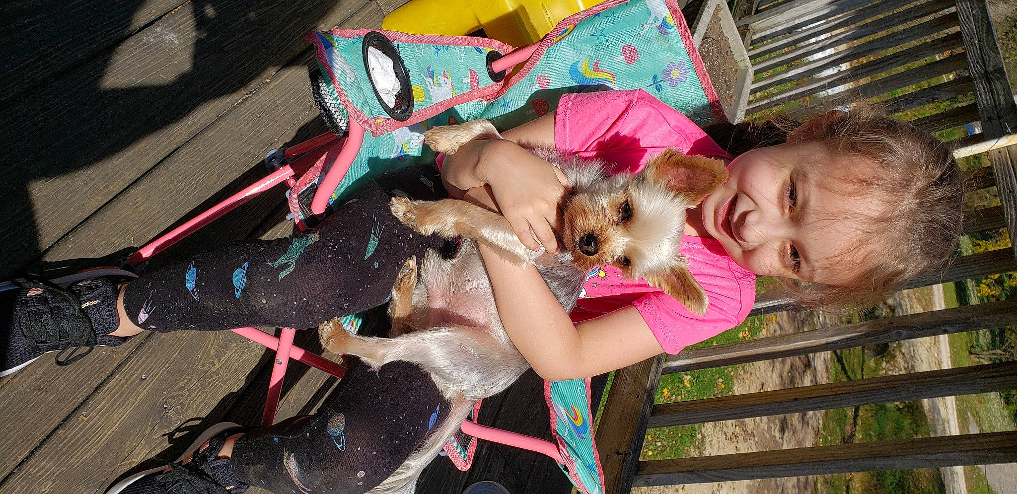 Aryana is registered to the contest to win money with this photo: canidae, carnivore, companion_dog, dog, dog_breed, fawn, joy, person, puppy, toy_dog