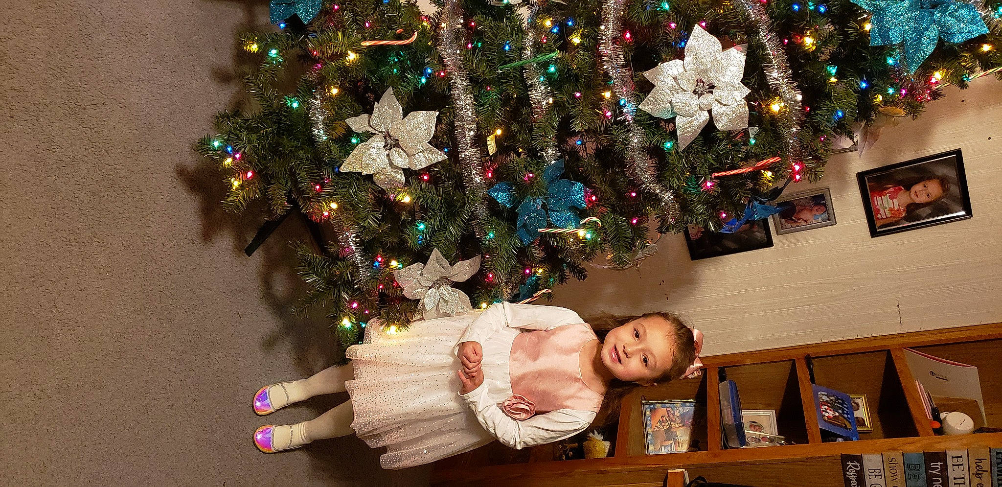 Aryana is registered to the contest to win money with this photo: christmas, christmas_decoration, christmas_eve, christmas_lights, christmas_ornament, christmas_tree, conifer, event, fir, holiday, holiday_ornament, interior_design, joy, ornament, person, pine, pine_family, plant, room, spruce