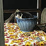animal, black_and_white_cat, cat, cozy, curious, decor, domestic_cat, feline, flower_pot, furniture, home, night, outdoor, patio_chair, pet, relaxing, seat_cushion, sunflower_pattern, table, tablecloth