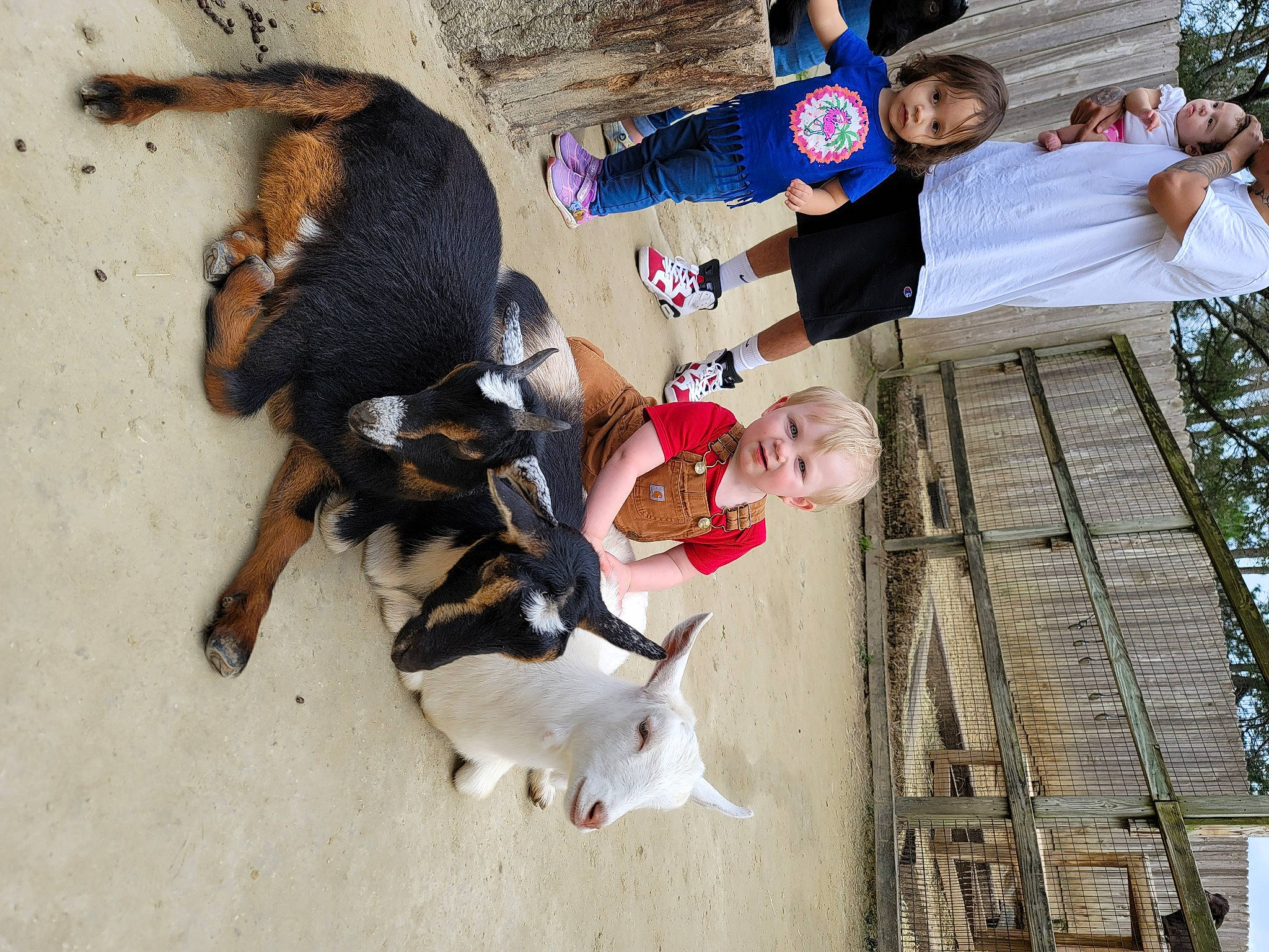 Ezekiel joined the competition — help win amazing prizes! adventure, fun, happy, leisure, person, plant, recreation, smile, tree, vacation, vertebrate, white