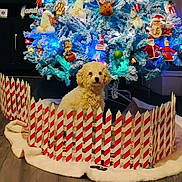 Max joined the competition — help win amazing prizes! blue_tree, celebration, christmas_tree, cute, decorations, dog, fence, festive, fluffy, holiday, home_decor, indoor, lights, ornaments, pet, plush, seasonal, small_dog, winter, wood_floor