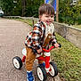 toddler, child, smiling, tricycle, outdoor, park, pathway, jacket, sneakers, grass, wooden_fence, autumn_leaves, play, happy, cute, casual_clothing, small_bike, nature, daytime, person