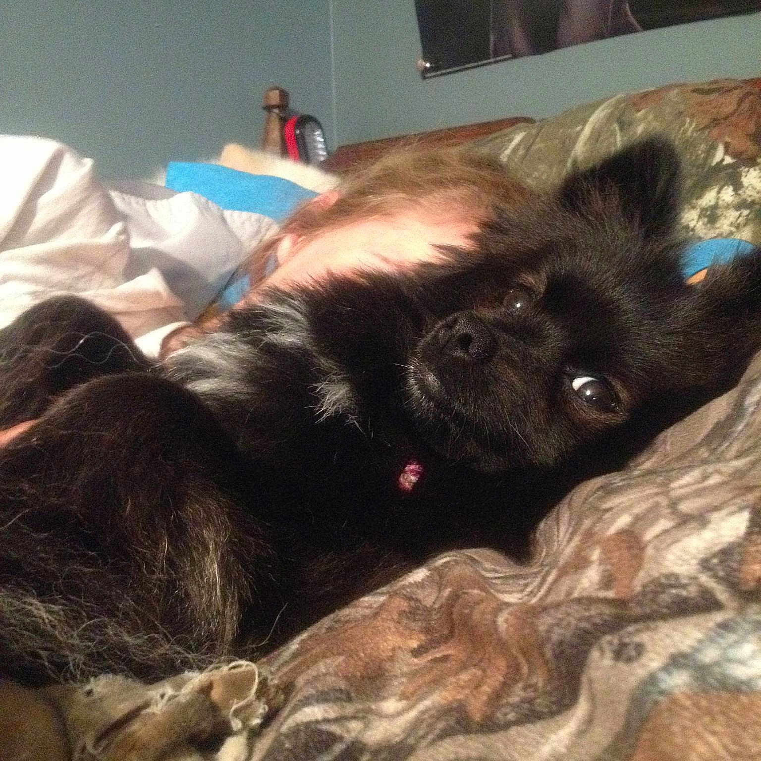 Shoogey Bear is registered to the contest to win money with this photo: