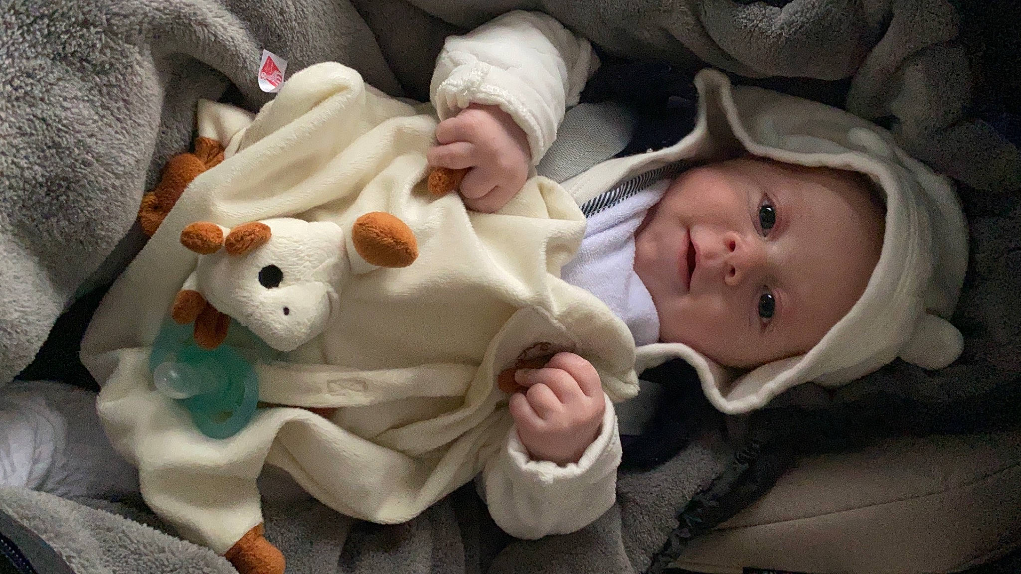 Jules a rejoint le concours — aidez-le/la à gagner de superbes lots ! baby, baby_carriage, baby_products, baby_toddler_clothing, carmine, cheek, child, comfort, eye, face, fur, hat, head, headgear, headwear, human_body, linens, nose, person, toddler