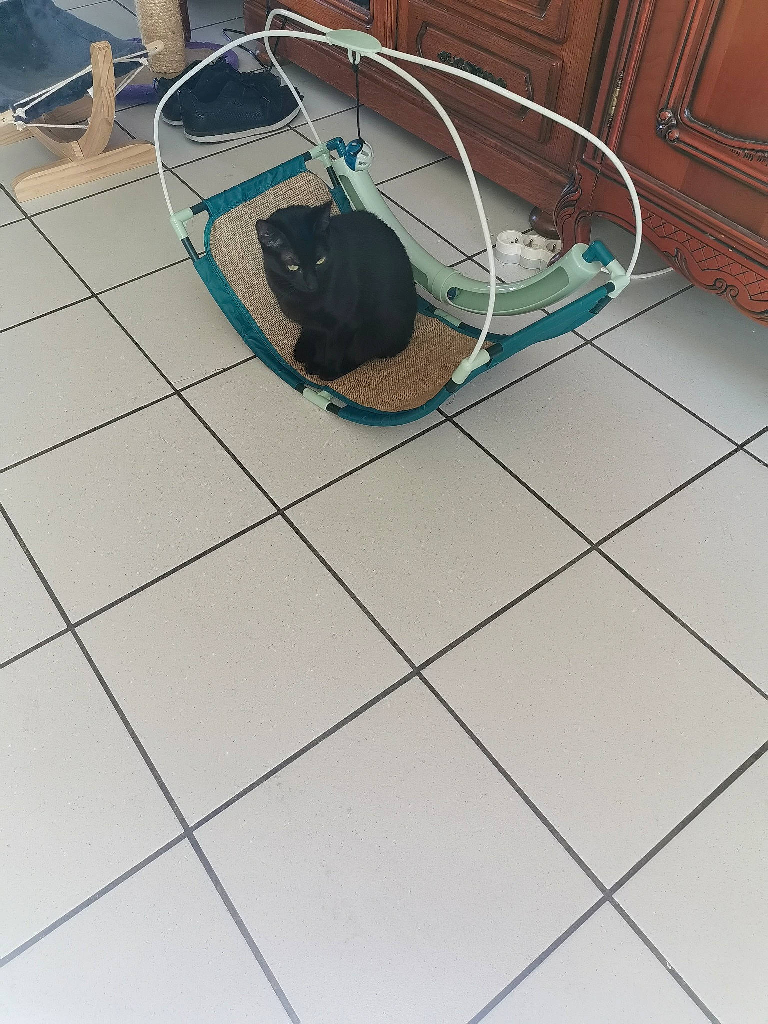 Bagherra a rejoint le concours — aidez-le/la à gagner de superbes lots ! floor, flooring, tile